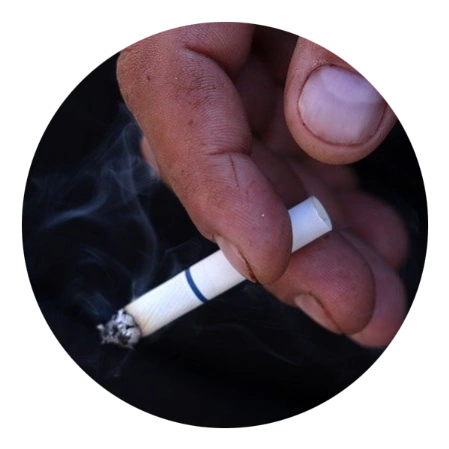 Inhaltsstoffe von Tabak und Zigaretten